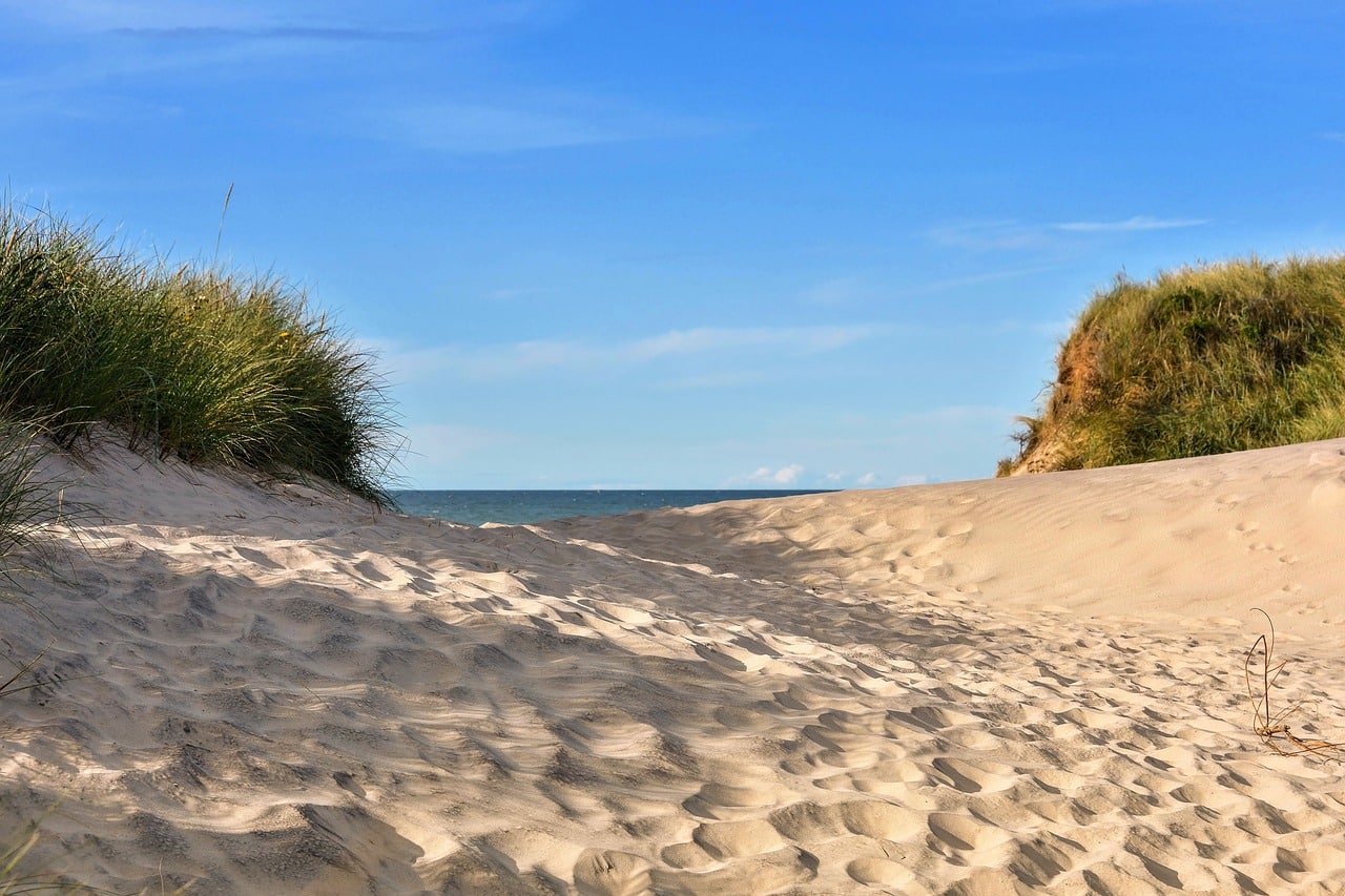 Sommerlandet I Danmark Streetfoodguru Dk Streetfoodguru Dk